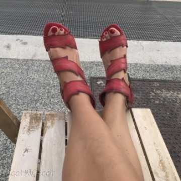 Rosa Rosa