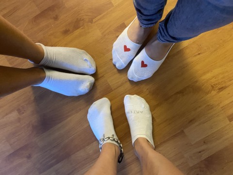 SixPieds SixPieds