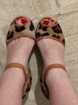 SugarFeet SugarFeet